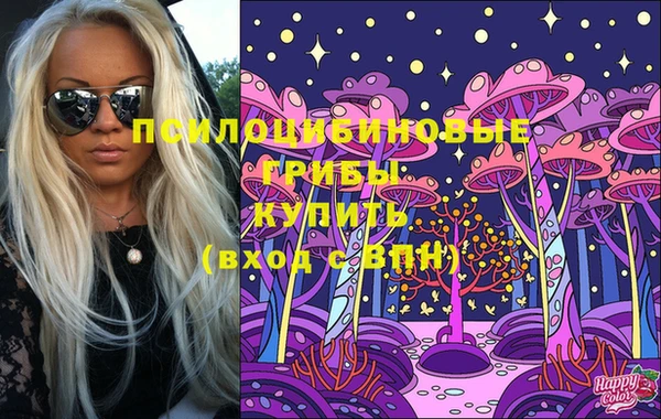 дурь Алексеевка