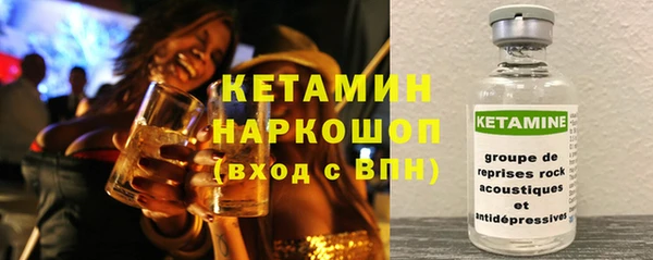 шишки Арсеньев