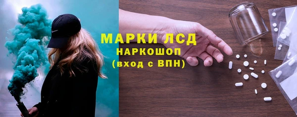 шишки Арсеньев